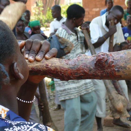 Concert Polyphonie –&nbsp;Polyfolie